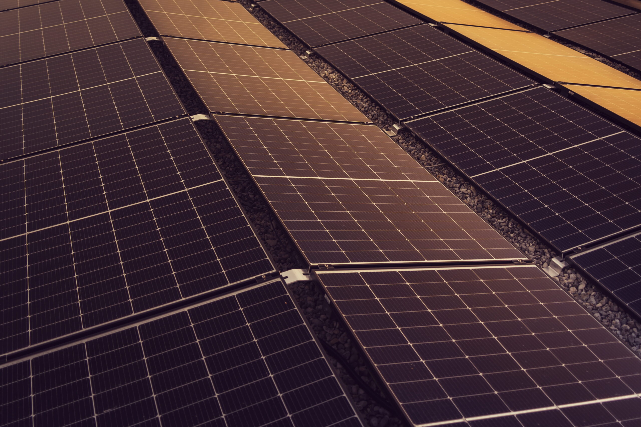 Paneles Solares Ecoparque